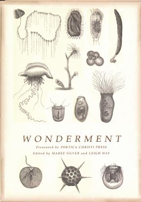 Wonderment
