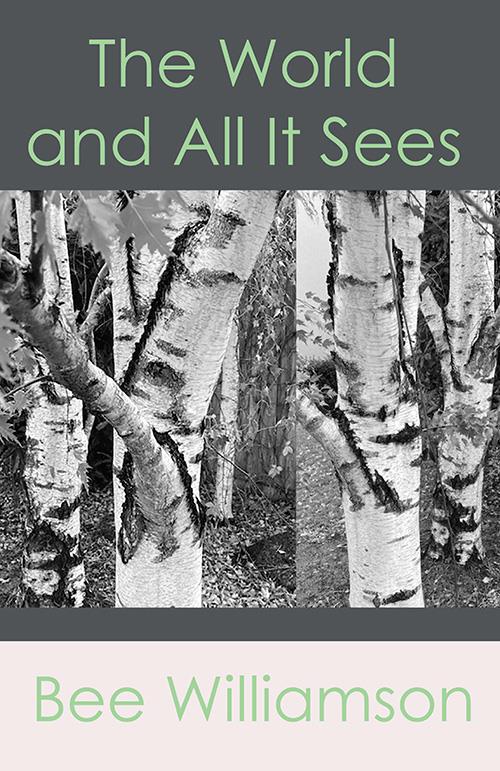 The World and All It Sees